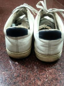 Classy White Sneakers For Men By Ajile Pantaloons