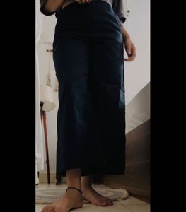 ZARA Wide Leg Cropped Pants♟️➰