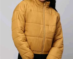 High Star Women Mustard Solid Puffer Jacket