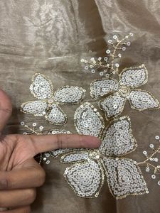 Elegant Embellished Saree