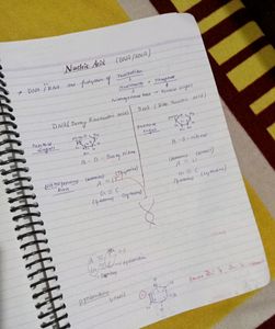 Organic Chemistry Notes