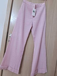 Pink Solid Bootcut Trouser