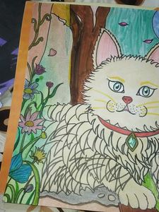 ✨Magical Cat🐈Drawing Art