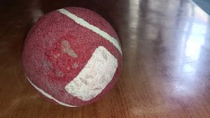 Cosco Ball For Sale