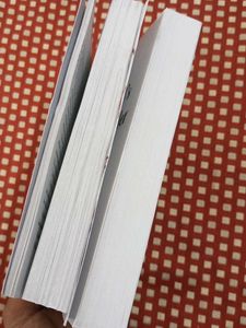 Holly Jackson 2 Books Set