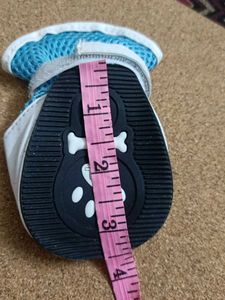 Pets Shoes
