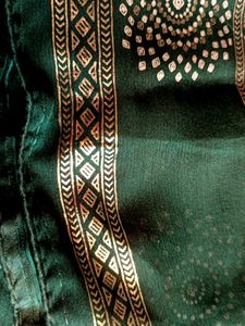 Gorgeous Saree With Velvet Blouse