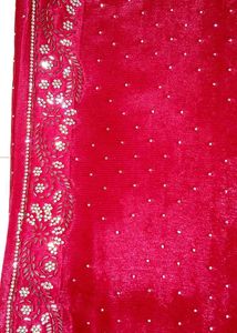 Red Beaded Saree