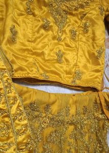 Golden Embroidered Lehenga Choli - XS