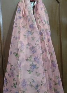 My Stunning Organza Dupattas At Your Service