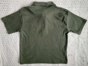 Olive Green Bear Polo