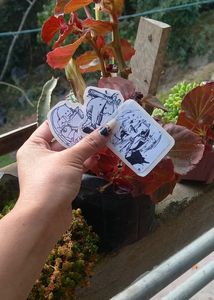 Anime/Manga Stickers For Phonecase 3Pcs