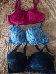 Shyaway Used Bras