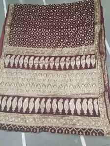 Bridal Designer Saree And Blouse