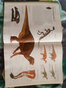 Ultimate Visual Dictionary
