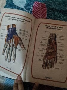 Medical Dictionary