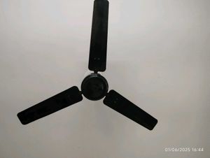Ceiling Fan
