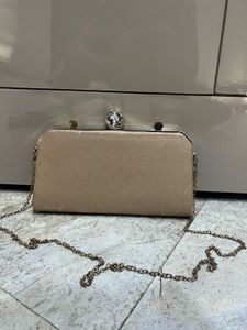 Elegant Evening Clutch