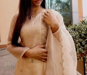Organza Salwar Suit