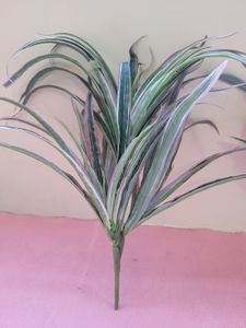Lavender Leaf Bunches