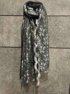 Sheer Lace Silver Dupatta