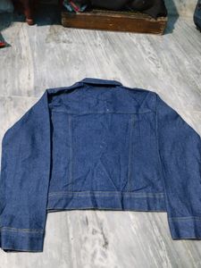 New stylish shorts Denim