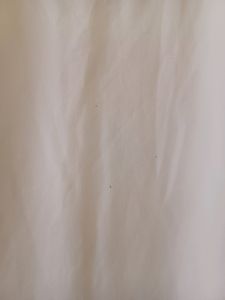 Flowy White Top