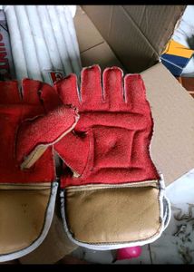 Cricket Kit Legpad Gloves Helmet Keeping Glovess