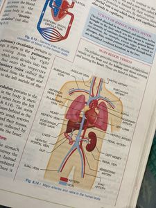 Concise Biology Class 10 Book