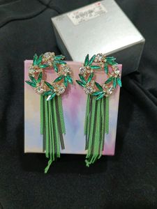 Fancy Earrings From Us 💚