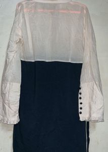 Elegant Two-Tone Dress