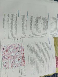 diFiore&#39;s Atlas of Histology