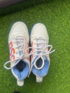 DSC Cricket Shoes