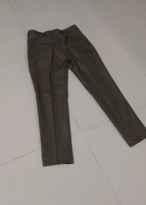 Formal light brown pant