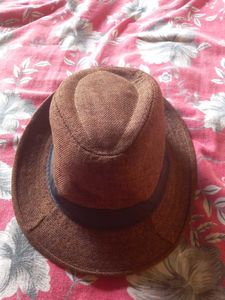 Brown Fedora Hat