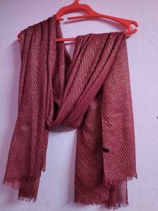 Sparkly Maroon Scarf