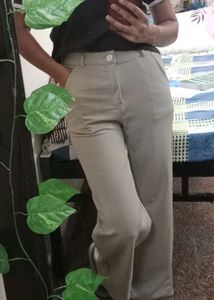 Straight Fit Pant