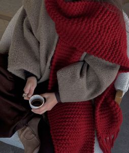 Red Knitted Hooded Scarf