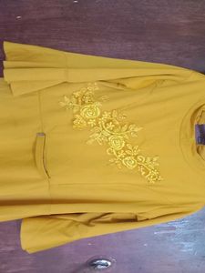 Elegant Ethnic Gown