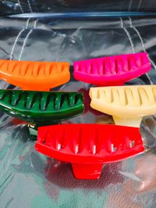 Brand New 5 Pieces Set Of Hair Clutchers(M)