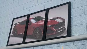Set Of 3 Split Premium Car Frame