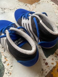 Shoes Blue Stylish