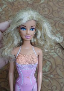 barbie doll (2009 ver) 💞