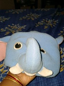 🐢 Toy And Elephant Cap Combo