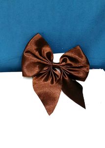 Aesthetic Bow Hair Clips (3pc)