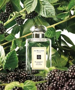 Jo Malone London Blackberry & Bay