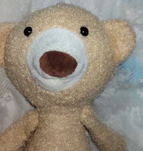 Cute Plush Teddy Bear