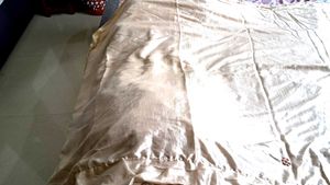Skin Color  Saree  With  Embroidery.