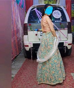 Sequin Zig Zag Lehenga With Backless Blouse