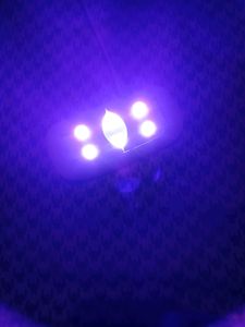 Sun Mini UV light Nail